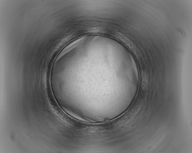 X0000111460482200907271254