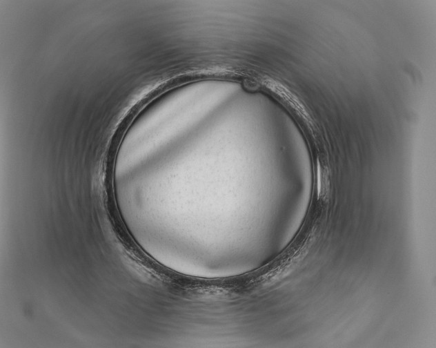 X0000111460483200907271254