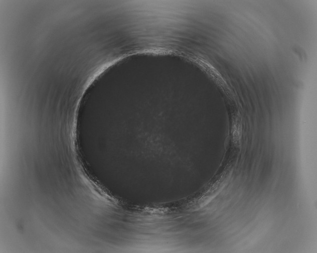 X0000111460484200907271254