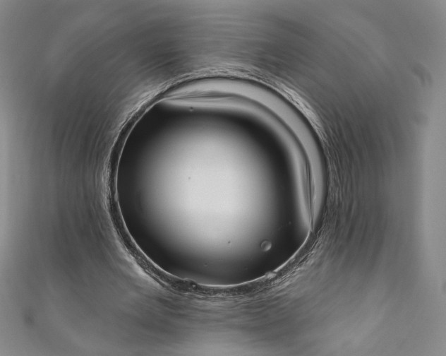 X0000111460485200907271254