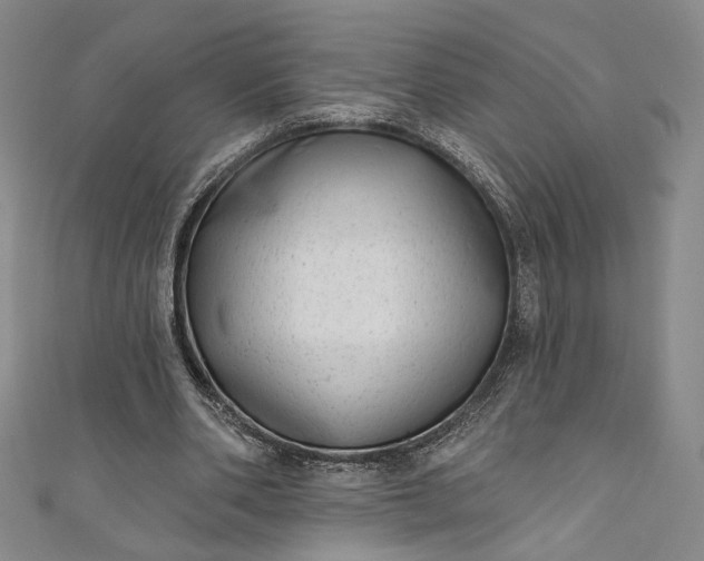 X0000111460486200907271254