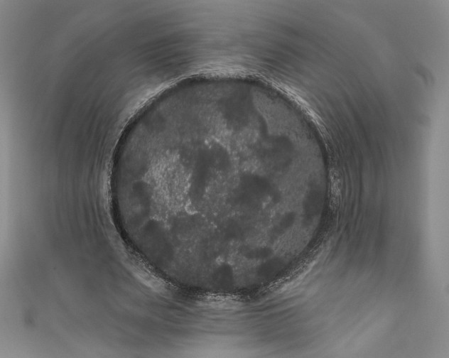 X0000111460487200907271254