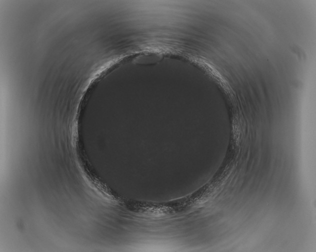 X0000111460488200907271254