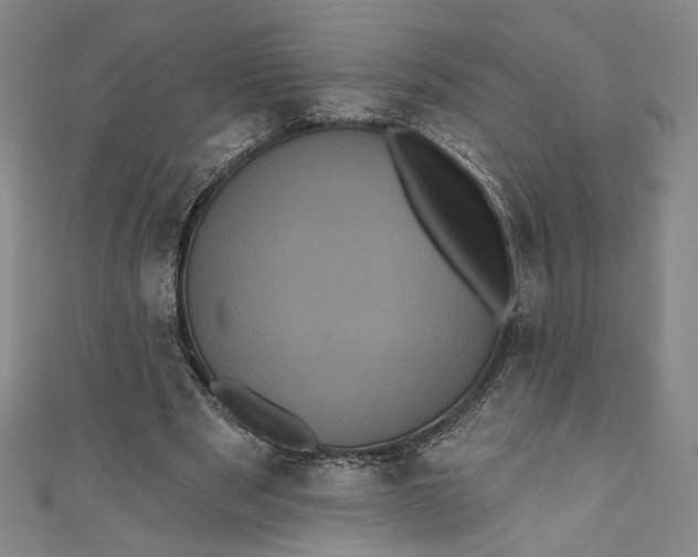 X0000111460489200907271254