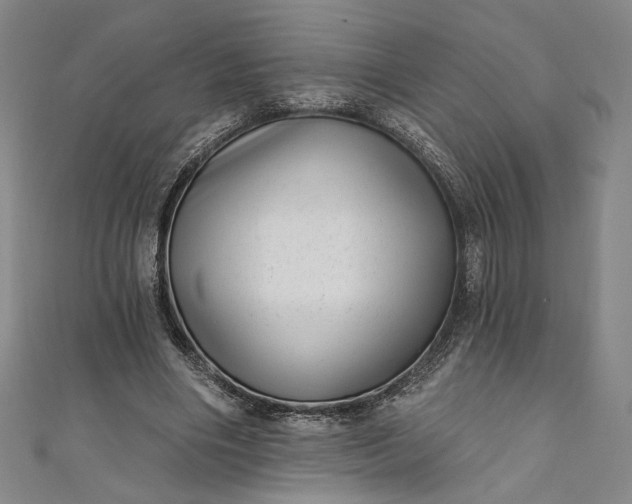 X0000111460490200907271254