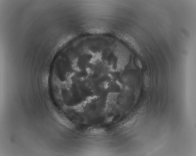 X0000111460491200907271254