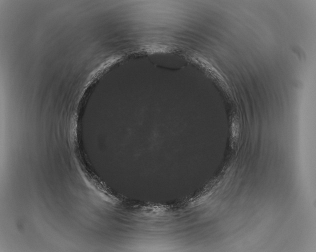 X0000111460492200907271254