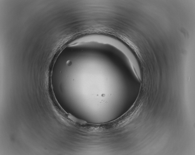 X0000111460493200907271254