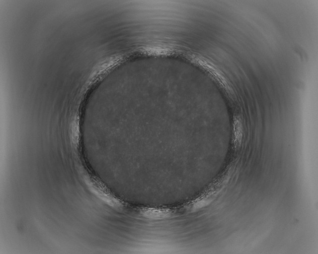 X0000111460494200907271254