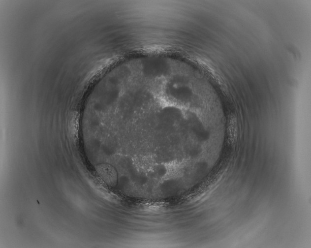 X0000111460495200907271254