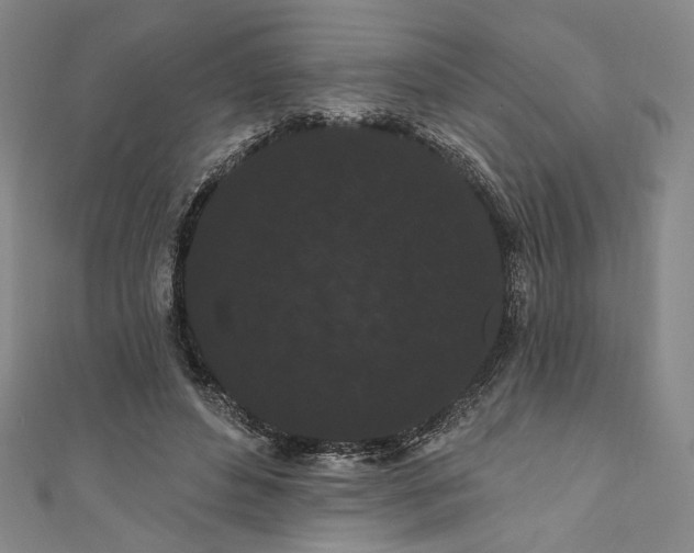 X0000111460496200907271254