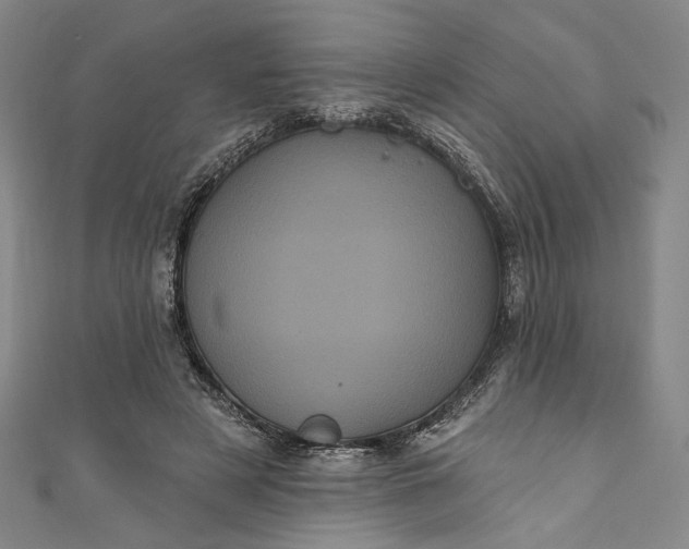 X0000111460497200907271254