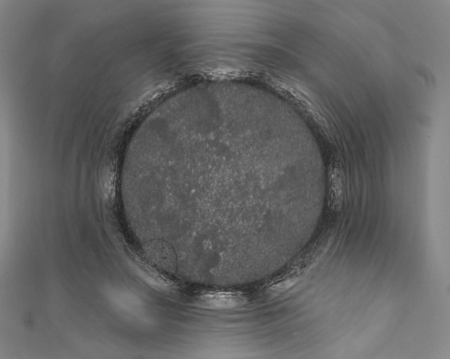 X0000111460499200907271254