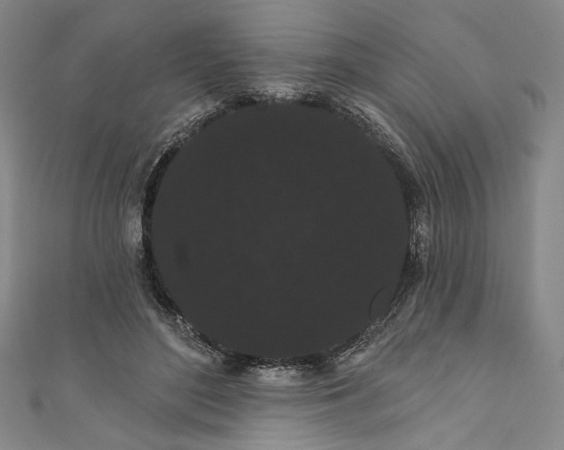 X0000111460500200907271254