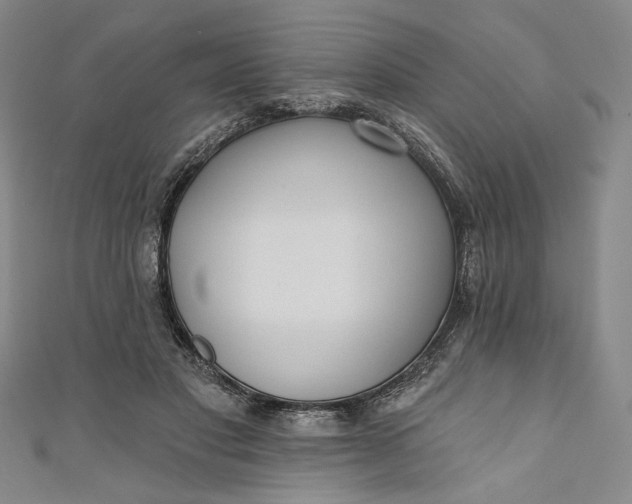 X0000111460501200907271254