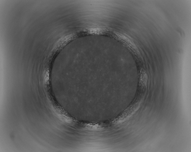 X0000111460502200907271254