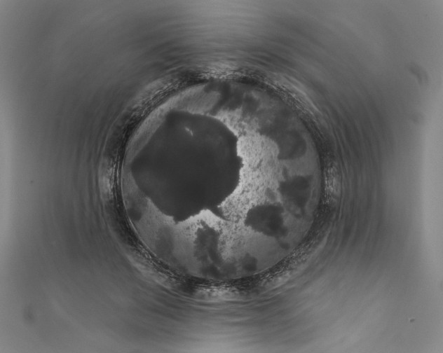 X0000111460503200907271254