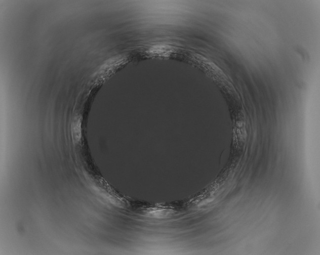 X0000111460504200907271254