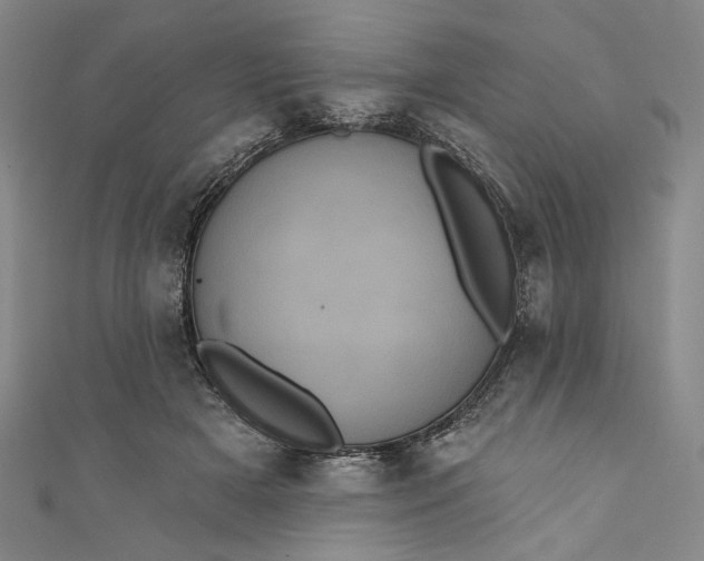 X0000111460505200907271254