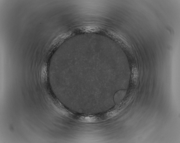 X0000111460506200907271254