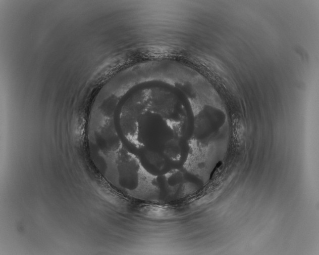 X0000111460507200907271254