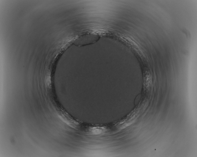 X0000111460508200907271254