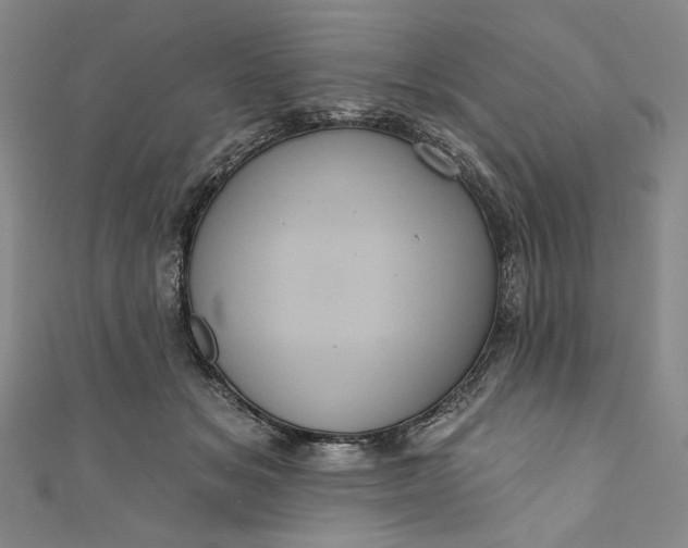 X0000111460509200907271254