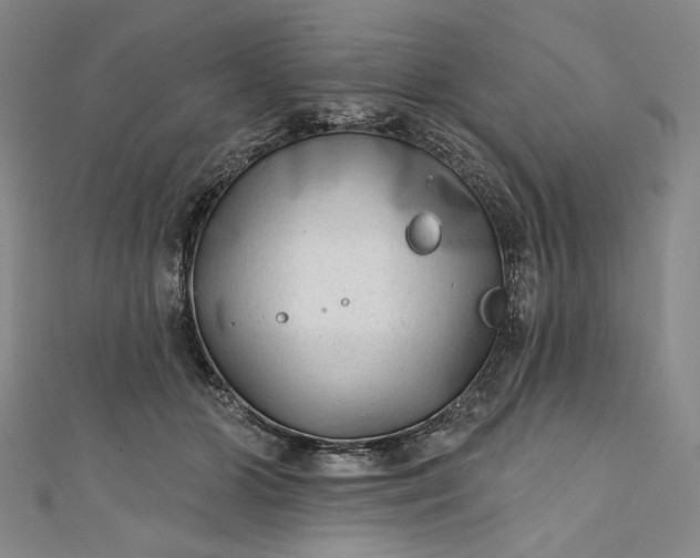 X0000111460510200907271254