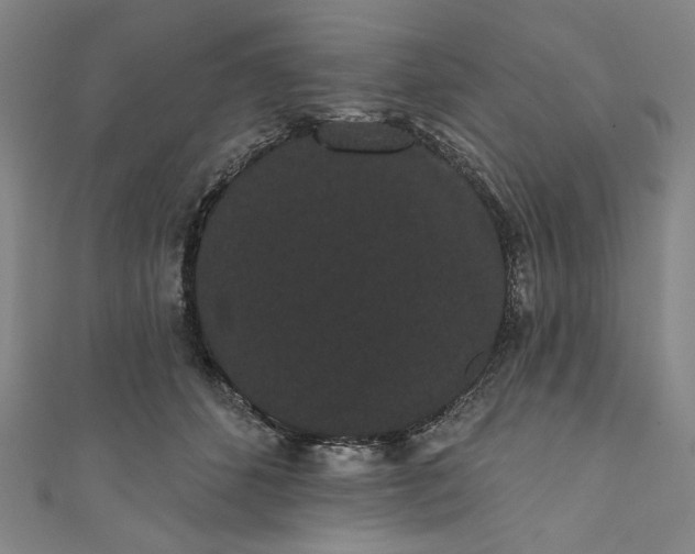 X0000111460512200907271254