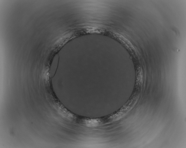 X0000111460513200907271254