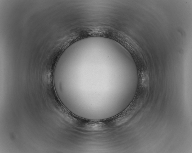 X0000111460514200907271254