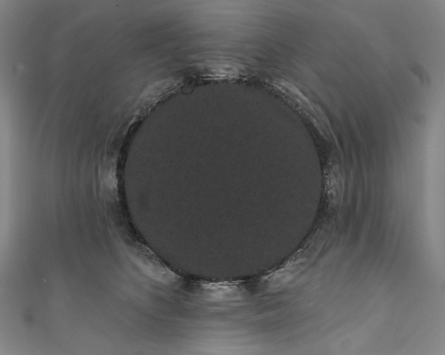 X0000111460516200907271254