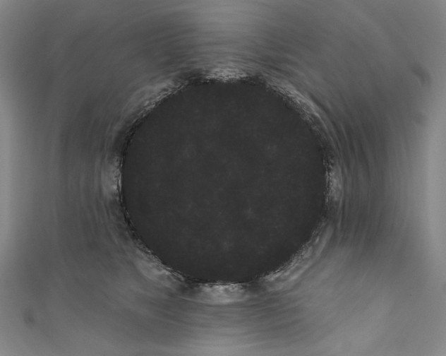 X0000111460517200907271254