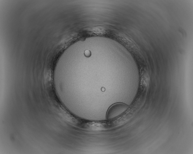 X0000111460518200907271254