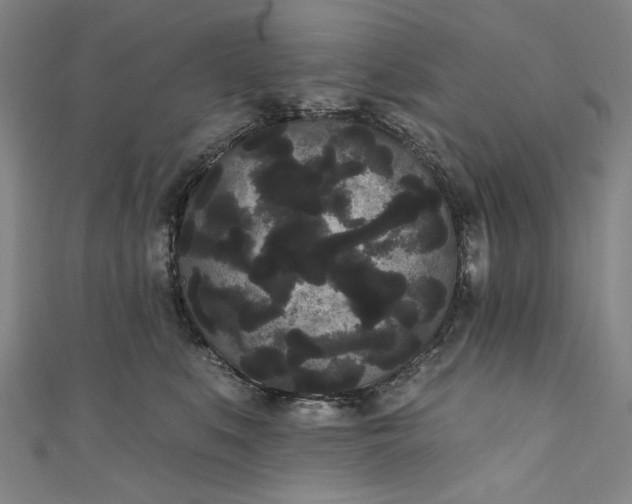 X0000111460519200907271254