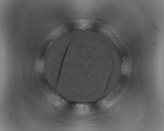 X0000111460520200907271254