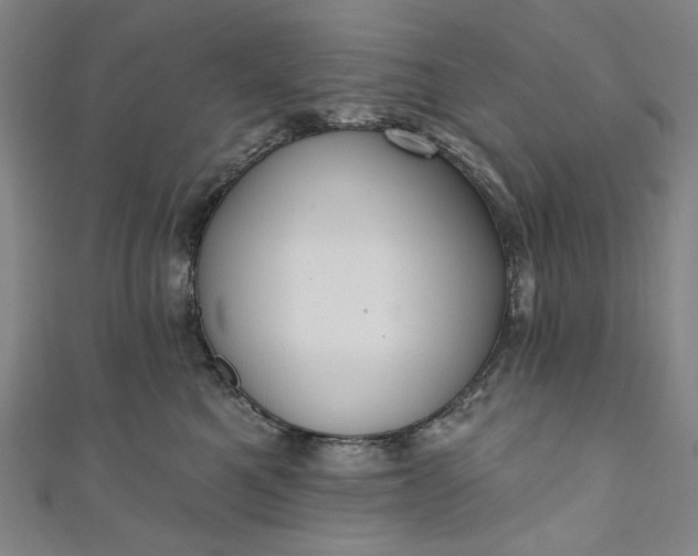 X0000111460521200907271254