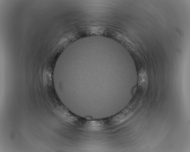 X0000111460522200907271254