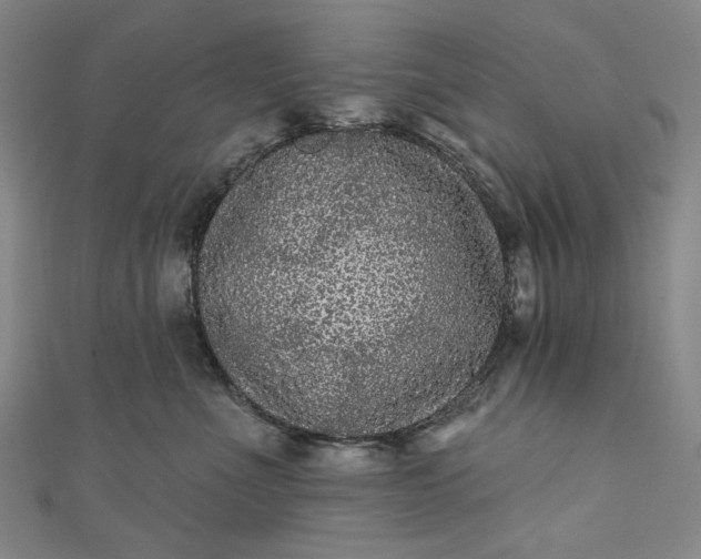 X0000111460523200907271254