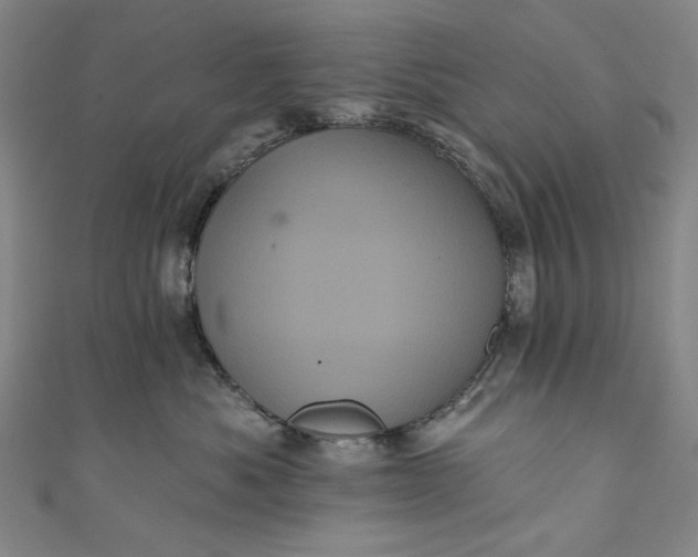 X0000111460525200907271254