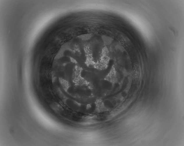 X0000111460527200907271254