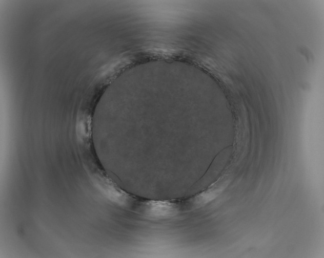 X0000111460528200907271254