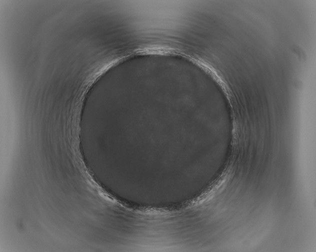 X0000111460529200907271253