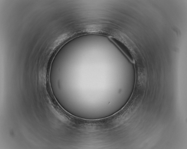 X0000111460530200907271253