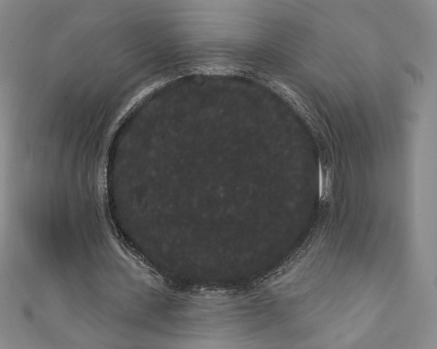 X0000111460531200907271253