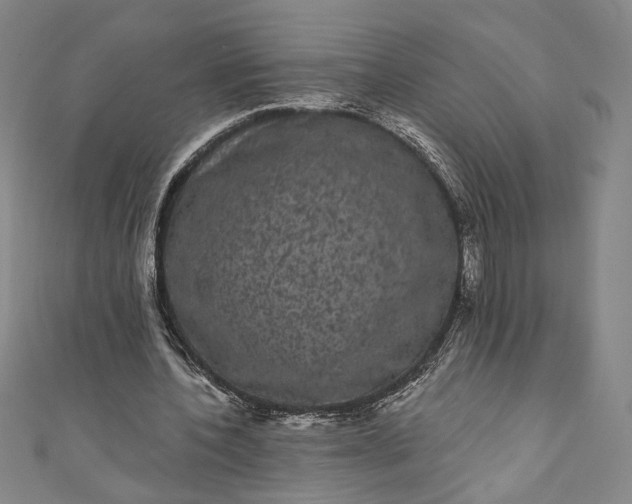 X0000111460532200907271253