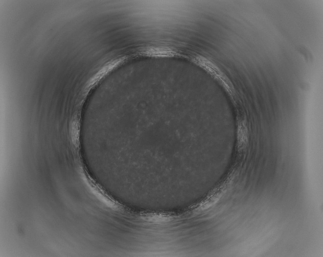 X0000111460533200907271253