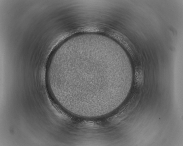 X0000111460534200907271253