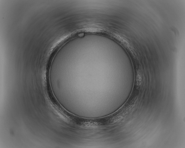 X0000111460535200907271253