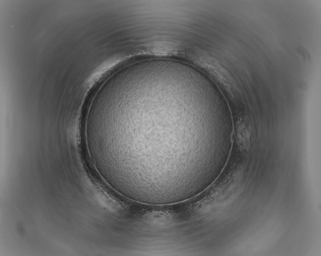 X0000111460536200907271253